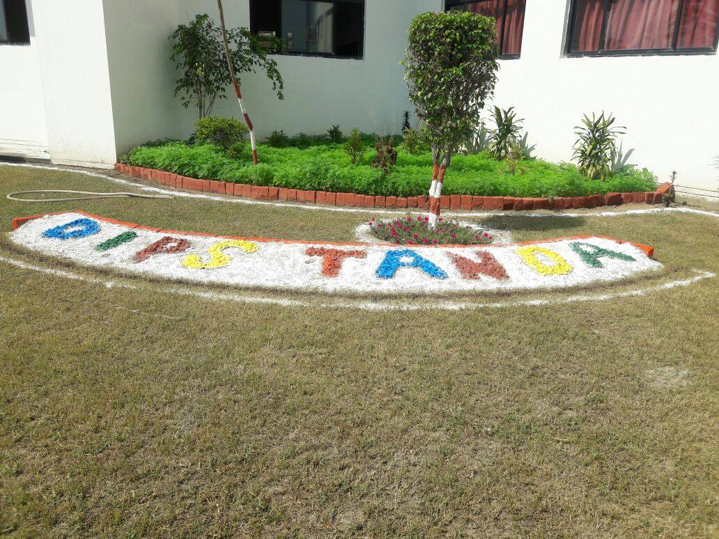 SCHOOL BUILDING PHOTOGRAPHS (5)